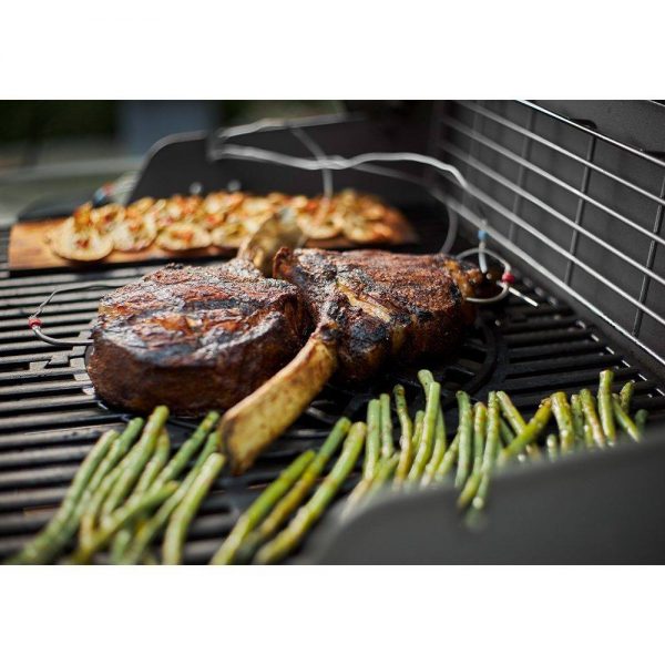sonde per carne termometro wifi weber connect