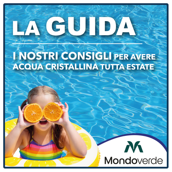 Guida alla Cura e alla Manutenzione della Piscina Fuori Terra